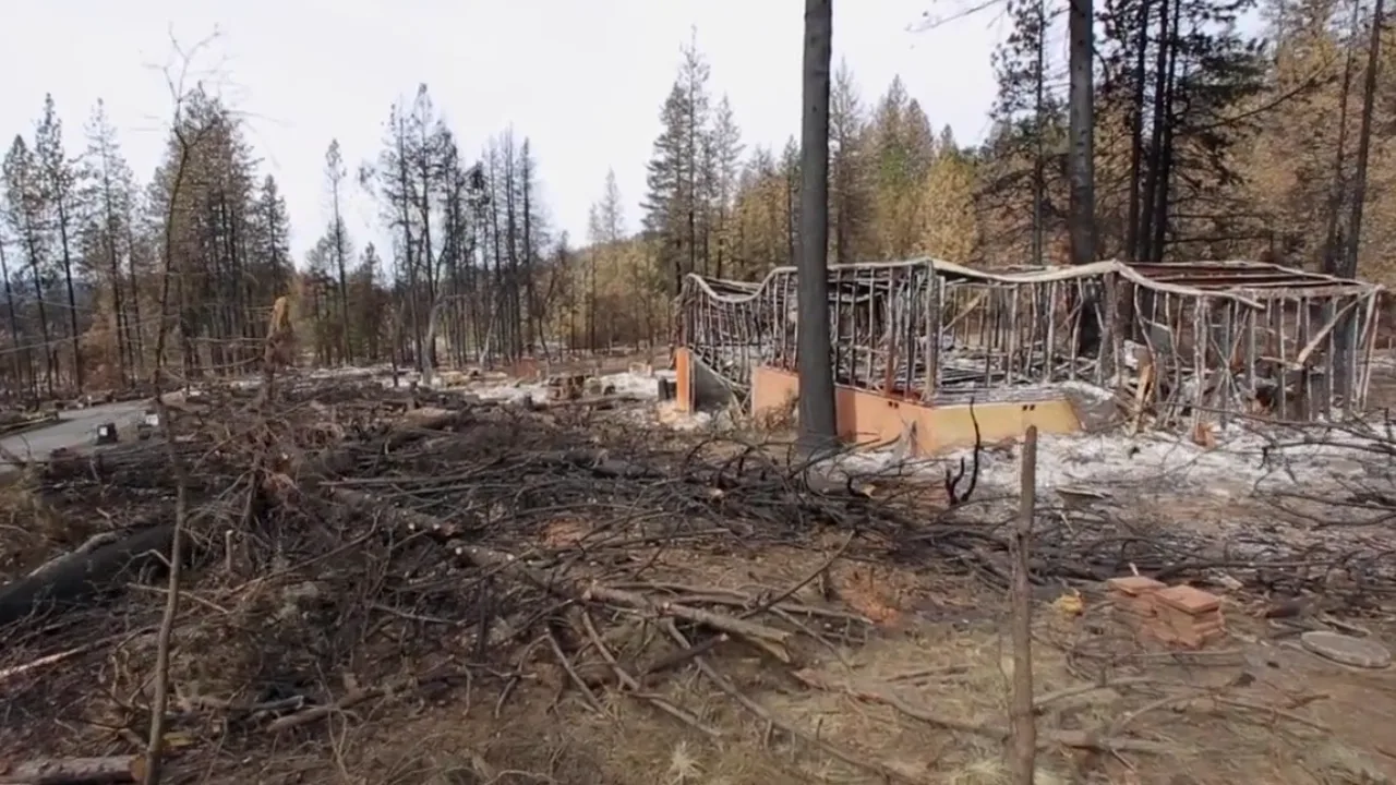 Burned-out homesite among charred trees after the Middletown, California wildfire